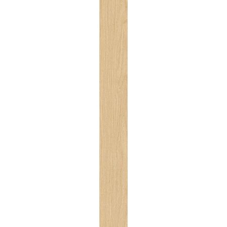 Аура Нордик 10X80