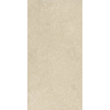 Статус Айвори Натуральный 60x120 см