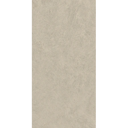 Статус Дезерт Натуральный 60x120 см