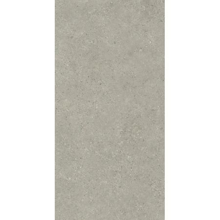 Статус Карбон Натуральный 60x120 см